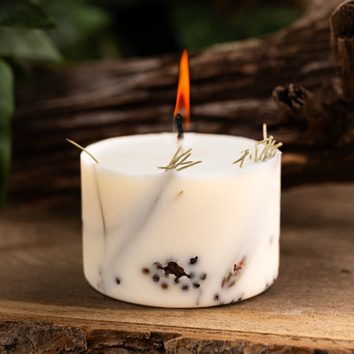 Soy Wax Candle, Juniper, Small