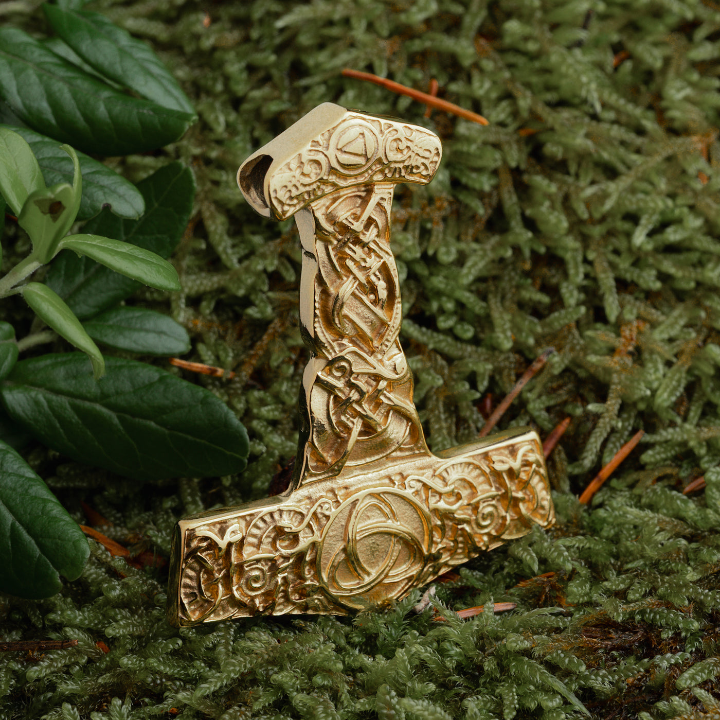 Torshammare, Triquetra, Gulpläterad