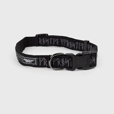 Grimfrosts hundhalsband, Runic